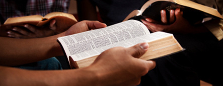 Bible Study