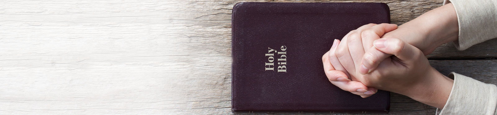 online bible courses