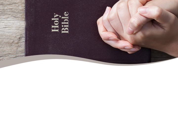 online bible courses